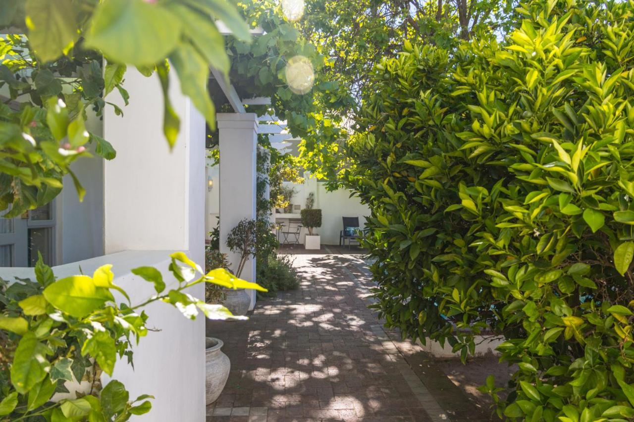Ashbourne Boutique Guest House Franschhoek Exterior foto